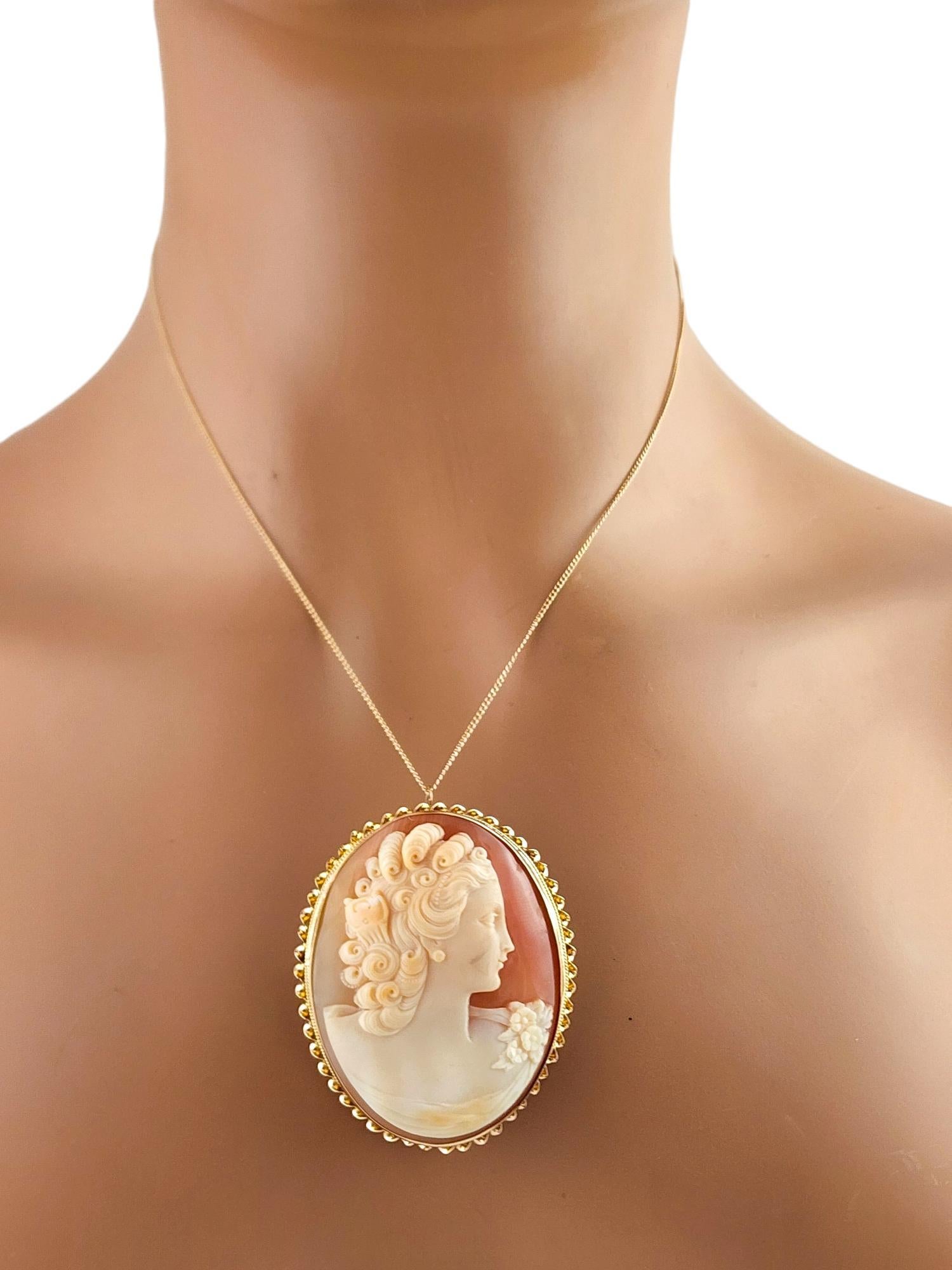 14 Karat Yellow Gold Cameo Brooch/Pendant #19797 For Sale 1