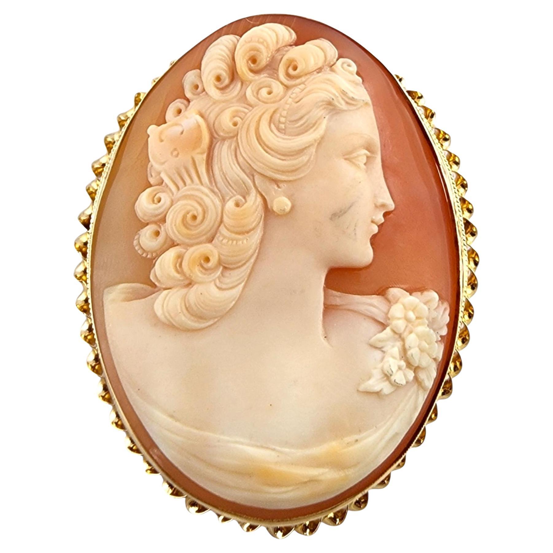 14 Karat Yellow Gold Cameo Brooch/Pendant #19797 For Sale