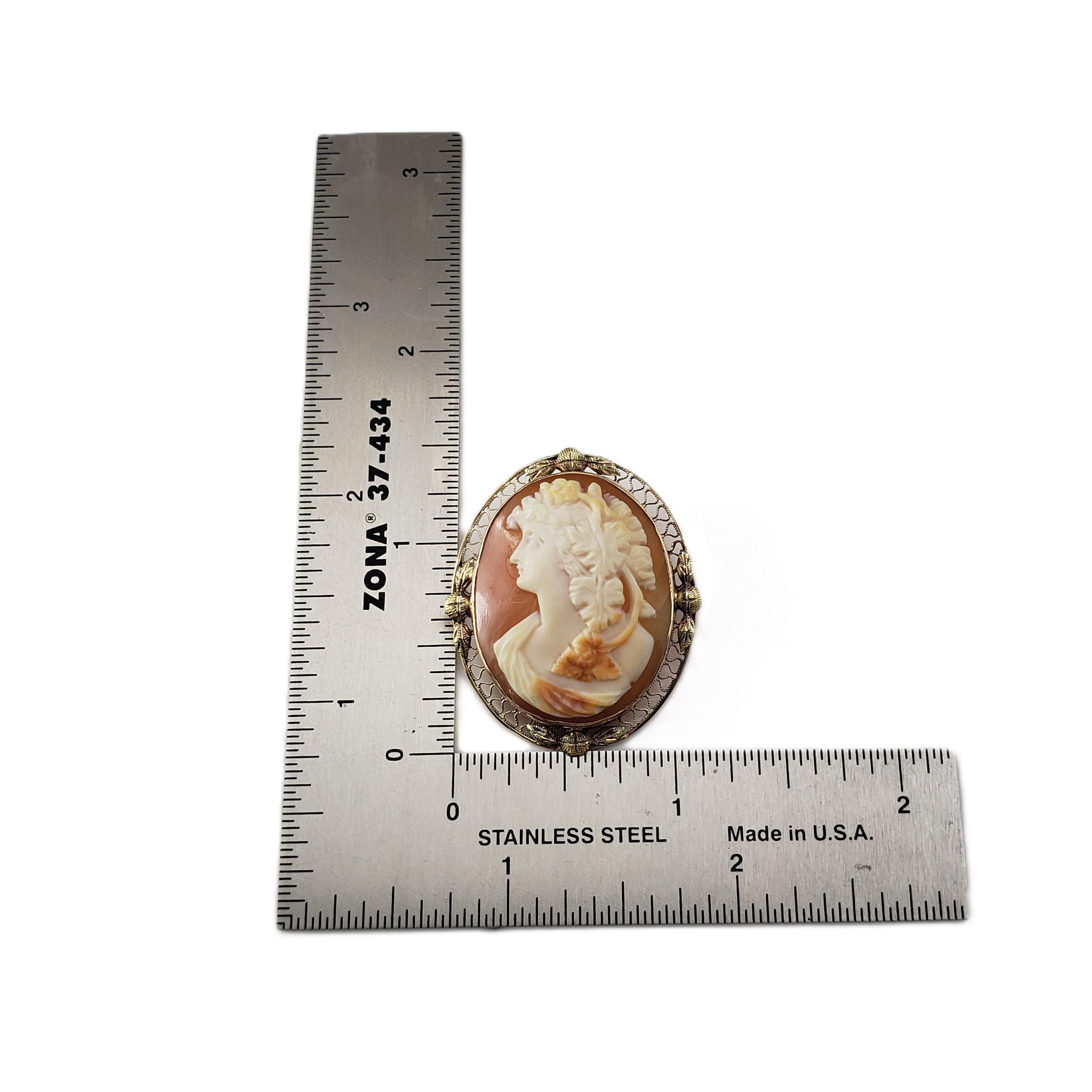 14 Karat Yellow Gold Cameo Brooch/Pendant #20874 For Sale 1