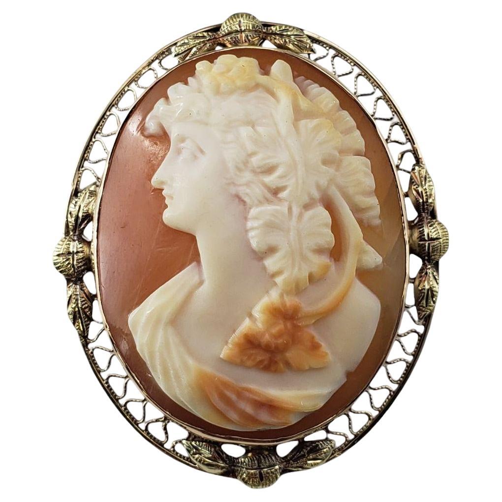 14 Karat Yellow Gold Cameo Brooch/Pendant #20874 For Sale