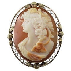 Vintage 14 Karat Yellow Gold Cameo Brooch/Pendant #20874