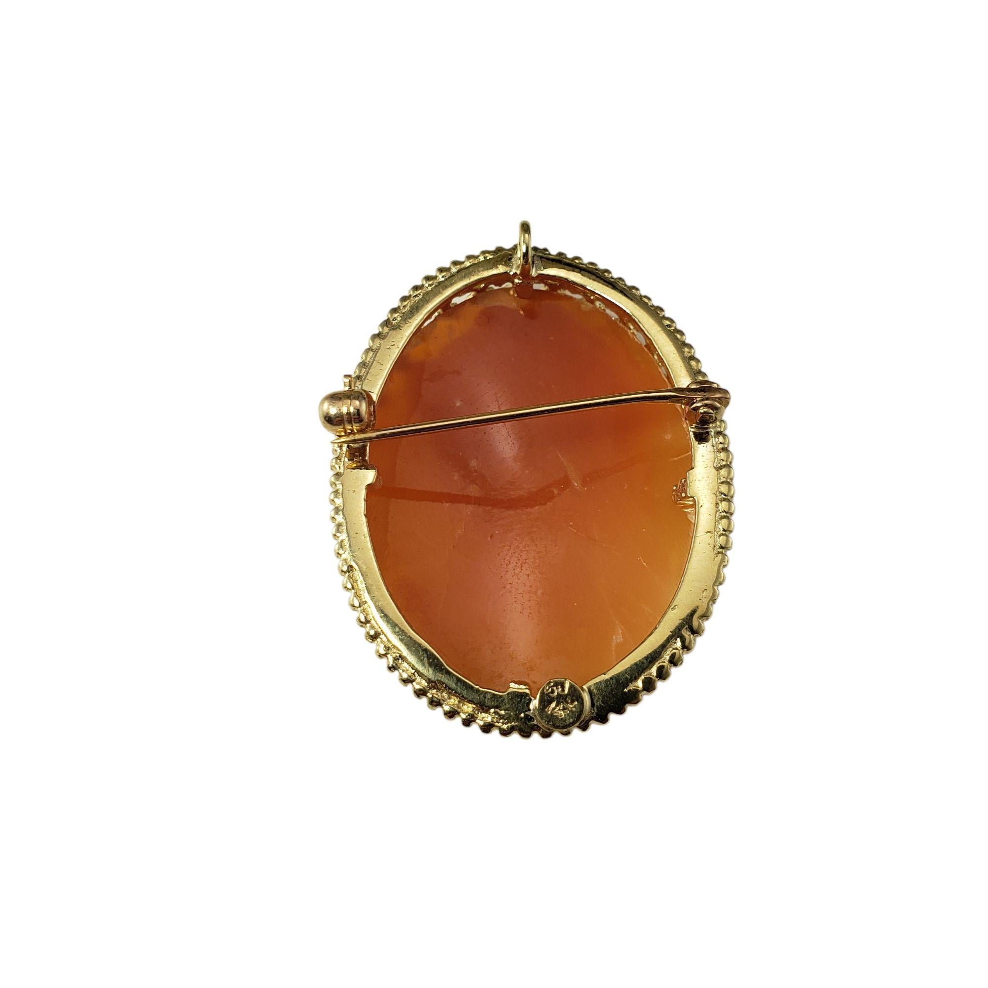 Women's 14 Karat Yellow Gold Cameo Brooch/Pendant #21335 For Sale