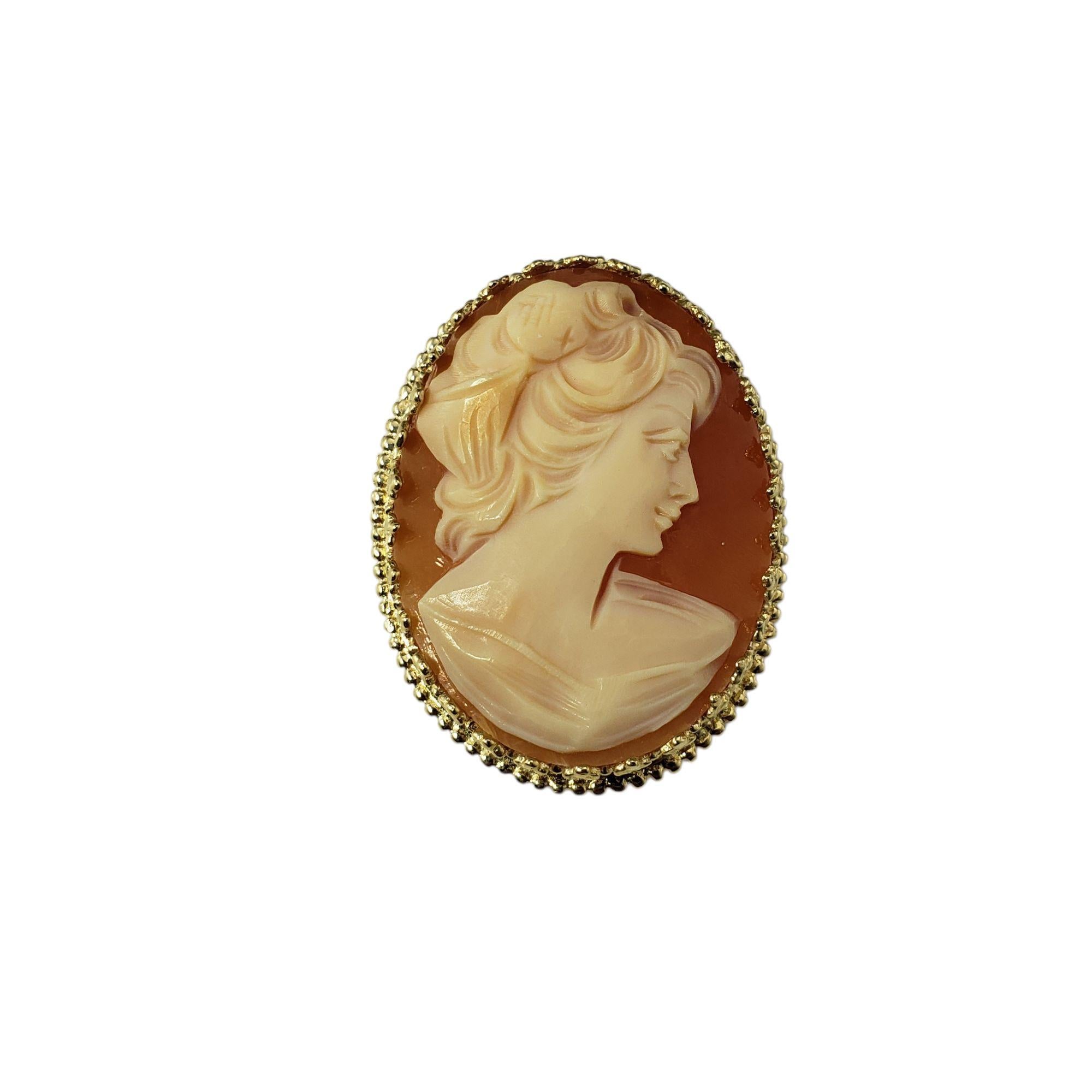 14 Karat Yellow Gold Cameo Brooch/Pendant #21335 For Sale