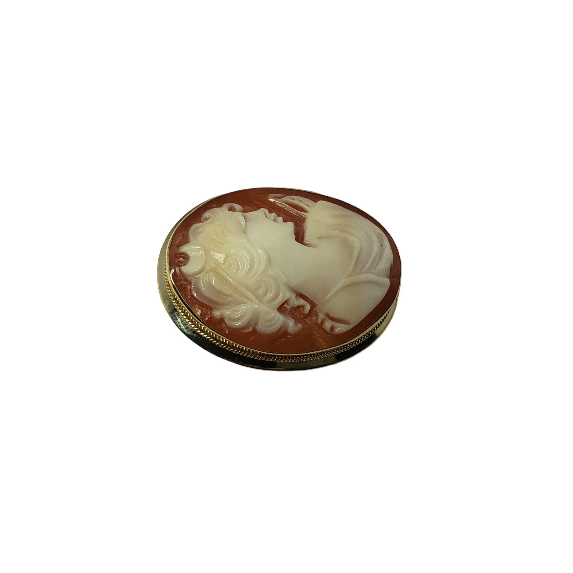 14 Karat Yellow Gold Cameo Brooch / Pendant In Good Condition For Sale In Washington Depot, CT