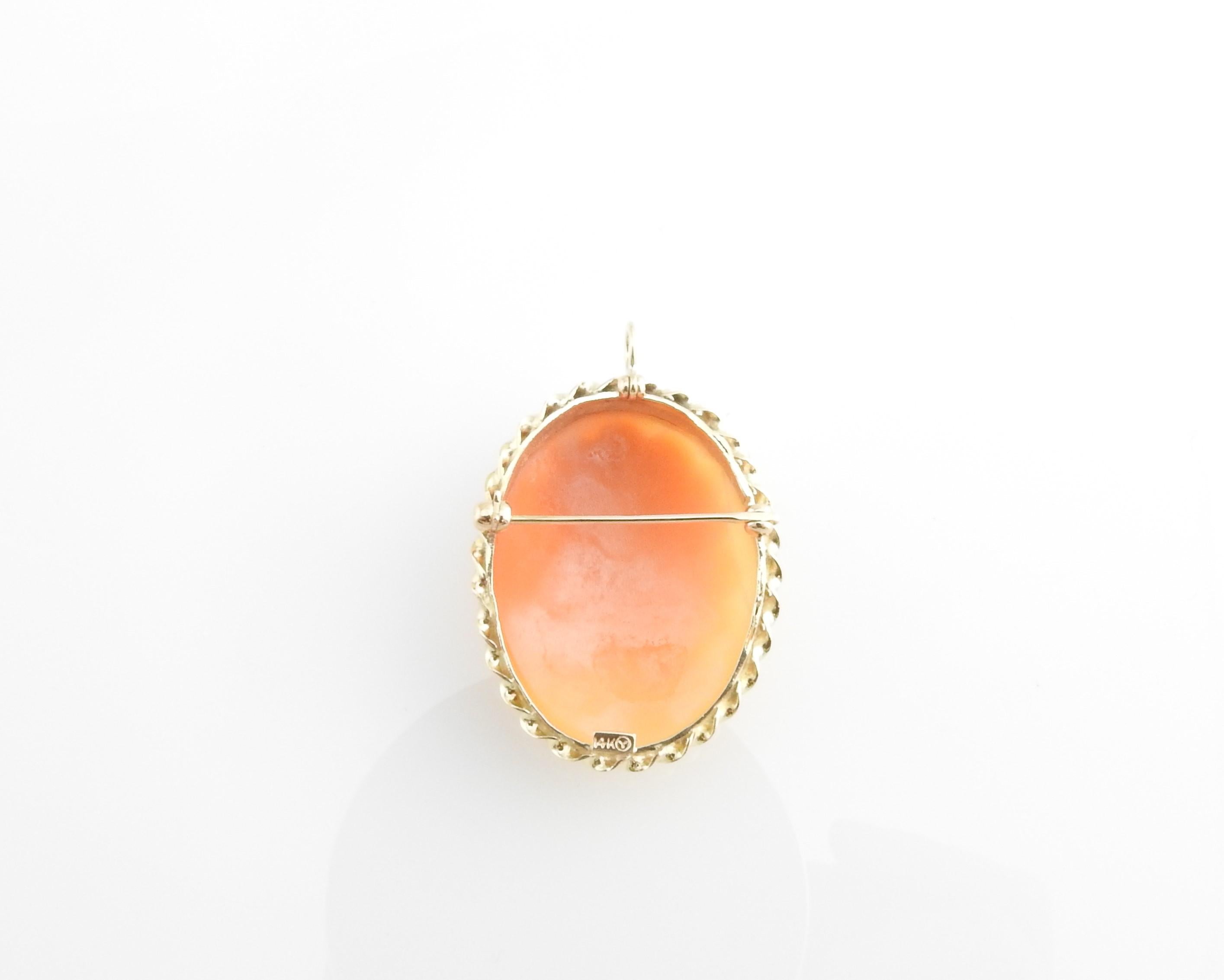 14 Karat Yellow Gold Cameo Brooch/Pendant 2