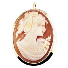 Vintage 14 Karat Yellow Gold Cameo Brooch/Pendant