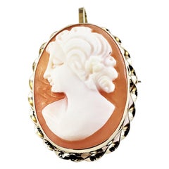 Broche/pendentif camée en or jaune 14 carats