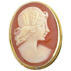 Vintage 14 Karat Yellow Gold Cameo Brooch or Pendant