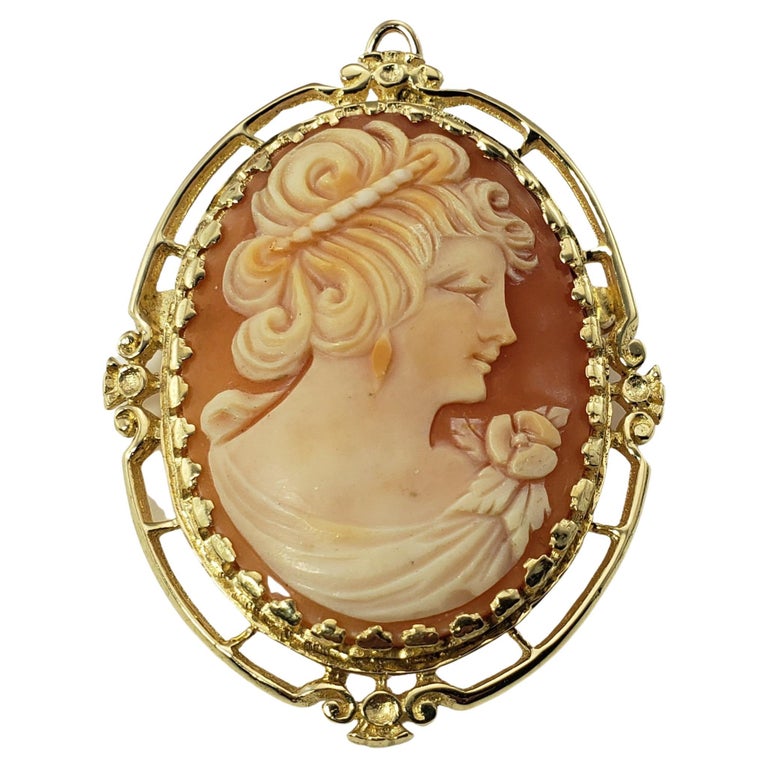 14 Karat Yellow Gold Cameo Brooch/Pendant For Sale at 1stDibs