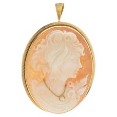 14 Karat Yellow Gold Cameo Oval Pin