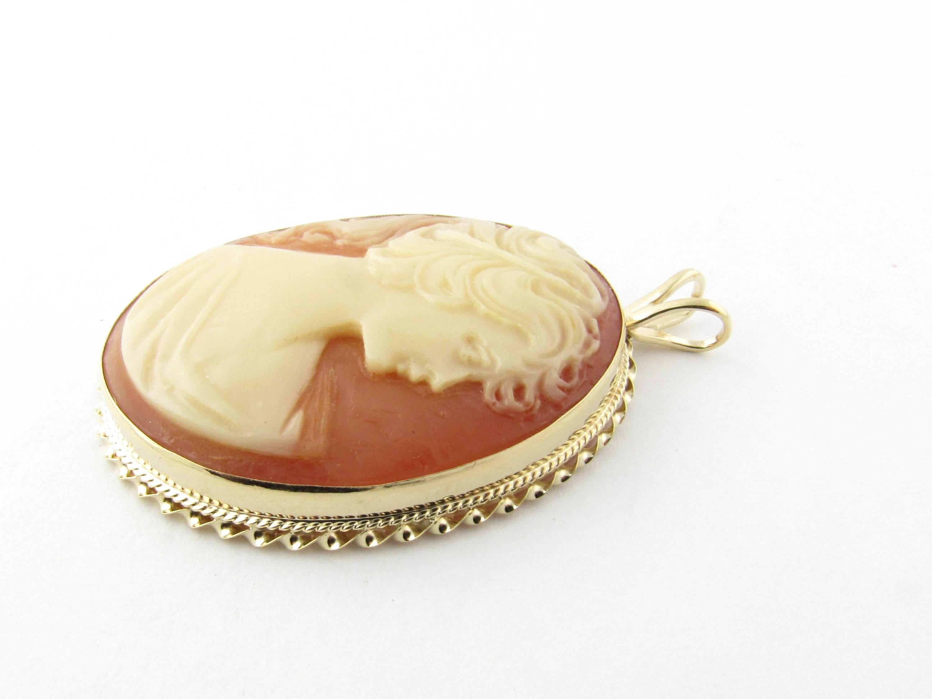 Vintage 14 Karat Yellow Gold Cameo Pendant-

This stunning cameo pendant features a lovely lady in profile framed in meticulously detailed 14K yellow gold.

Size: 50 mm x 33 mm (actual charm)

Weight: 5.0 dwt. / 7.9 gr.

Hallmark: Acid tested for