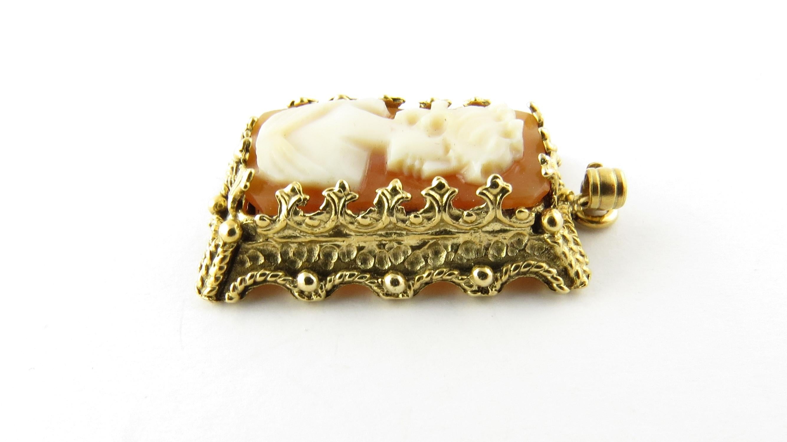 Vintage 14K Yellow Gold Cameo Pendant 

Measures approx. 21 mm length x 14 mm wide and 5 mm in depth 

Weight: 4.3g / 2.7 dwt 

Hallmarked: 14K 

Excellent professionally polished condition. 

Item will be packaged with gift box or pouch and shipped