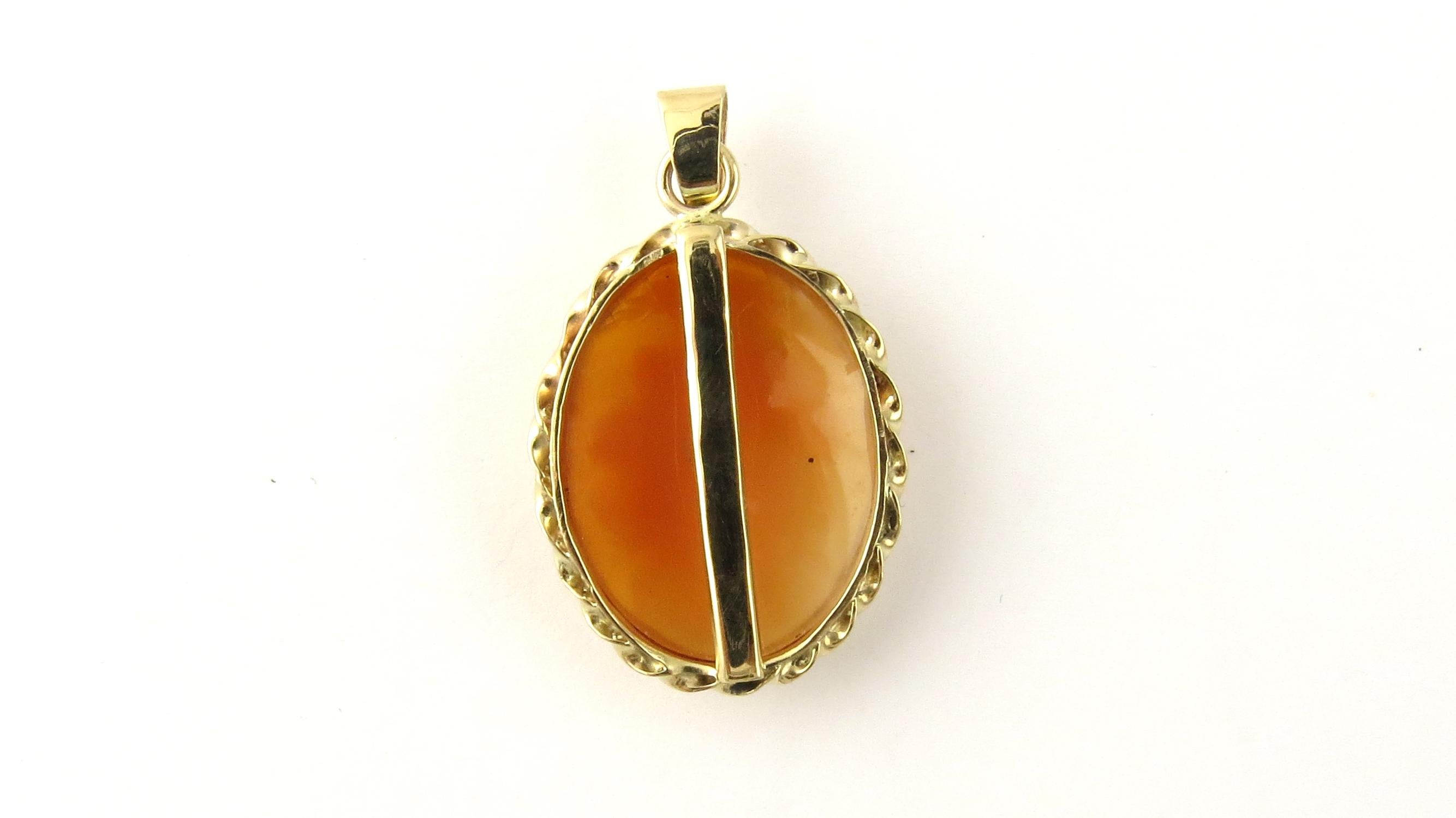 14 Karat Yellow Gold Cameo Pendant 1