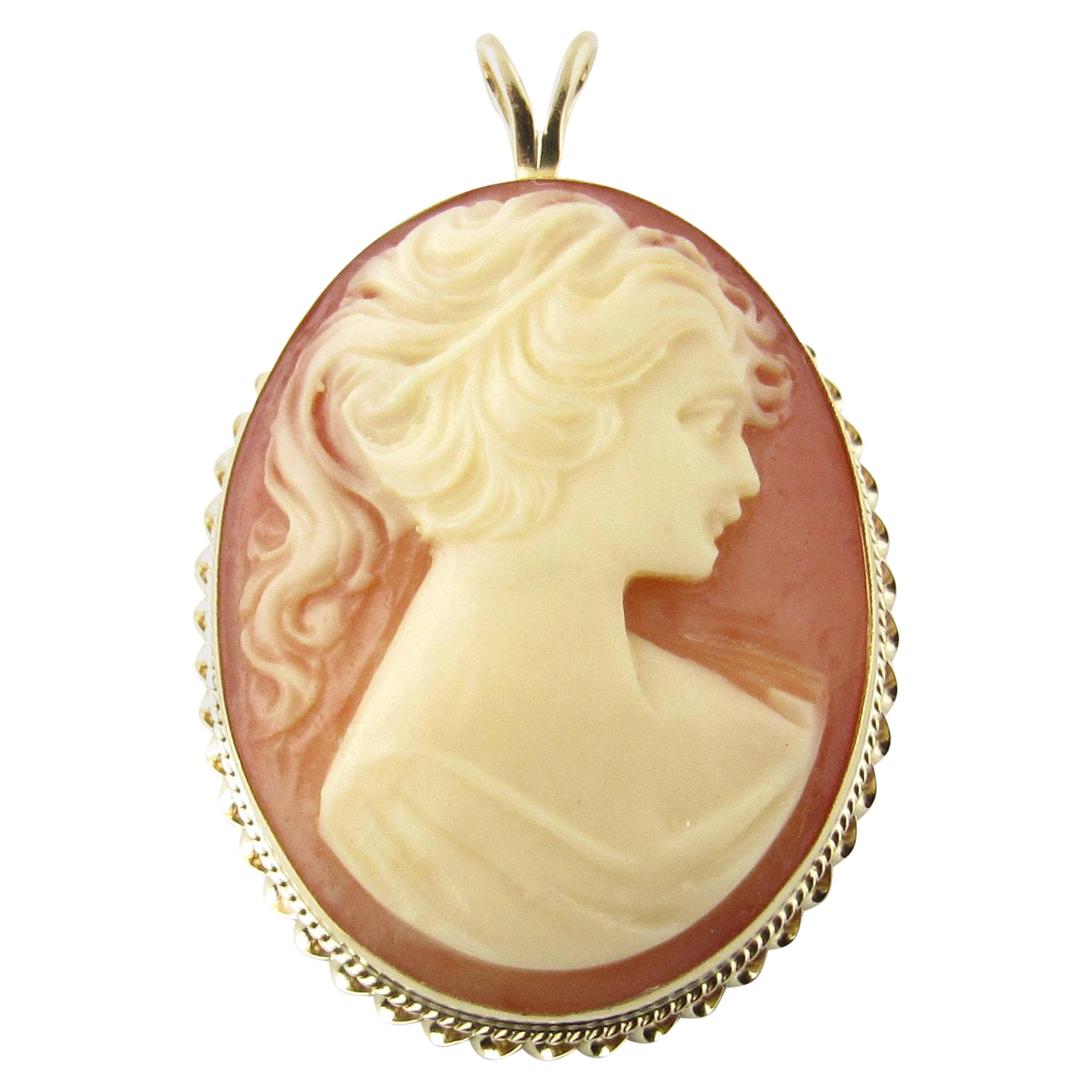 14 Karat Yellow Gold Cameo Pendant For Sale