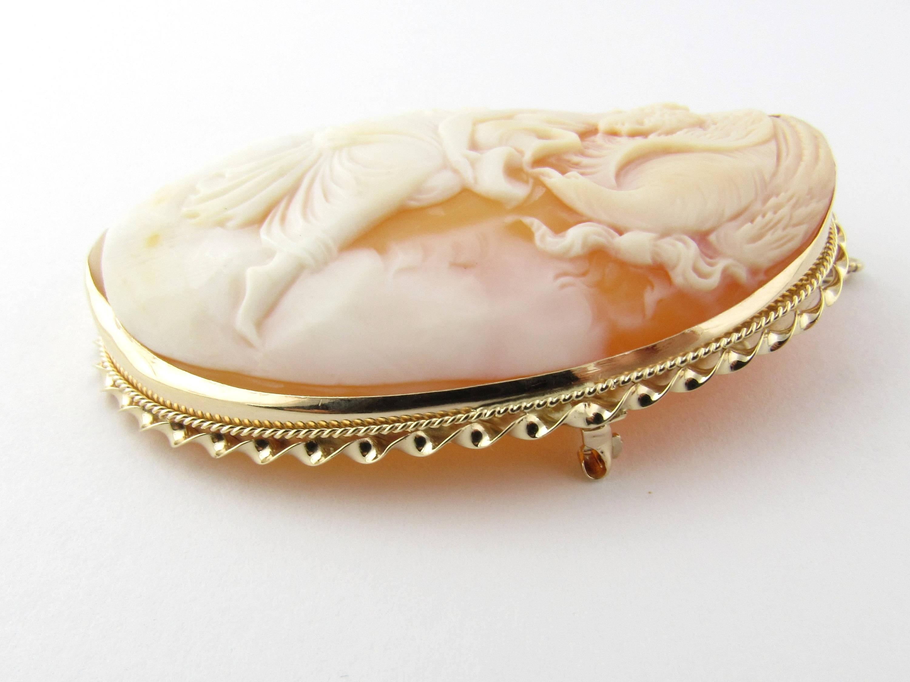  14 Karat Yellow Gold Cameo Pendant/Brooch - 
This stunning cameo features a lovely woman with the mythical phoenix drinking out of the pitcher she is holding. Beautifully detailed and framed in 14K yellow gold. Can be worn as a brooch or a pendant.
