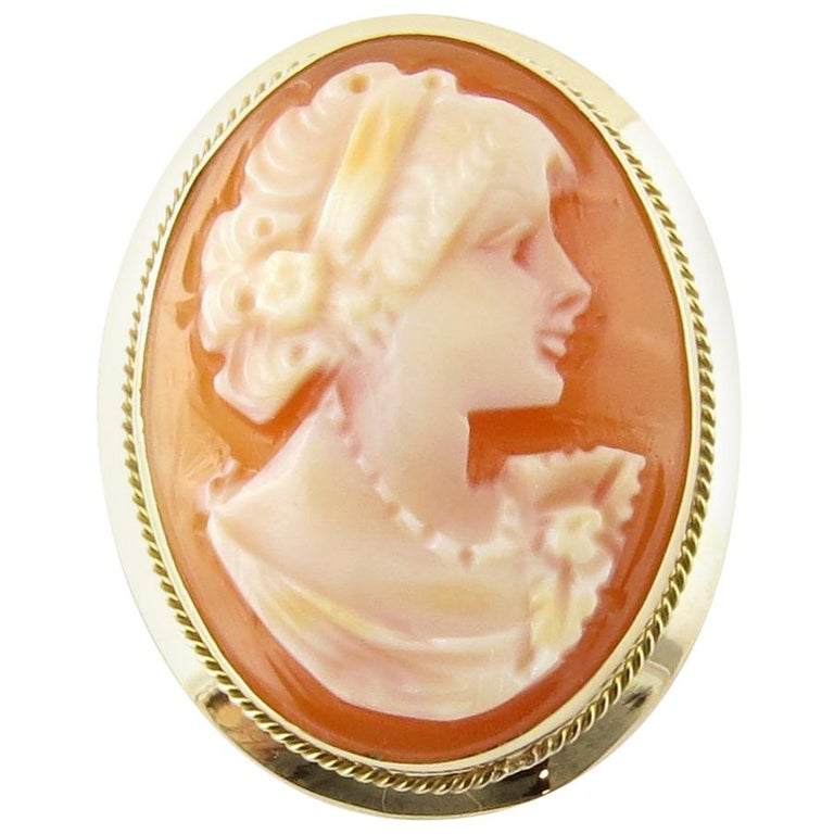 14 Karat Yellow Gold Cameo Pendant or Brooch at 1stDibs