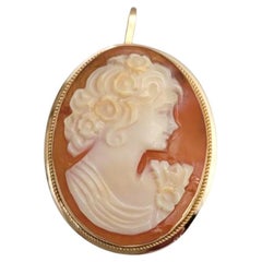 14 Karat Yellow Gold Cameo Pendant/Pin #21629