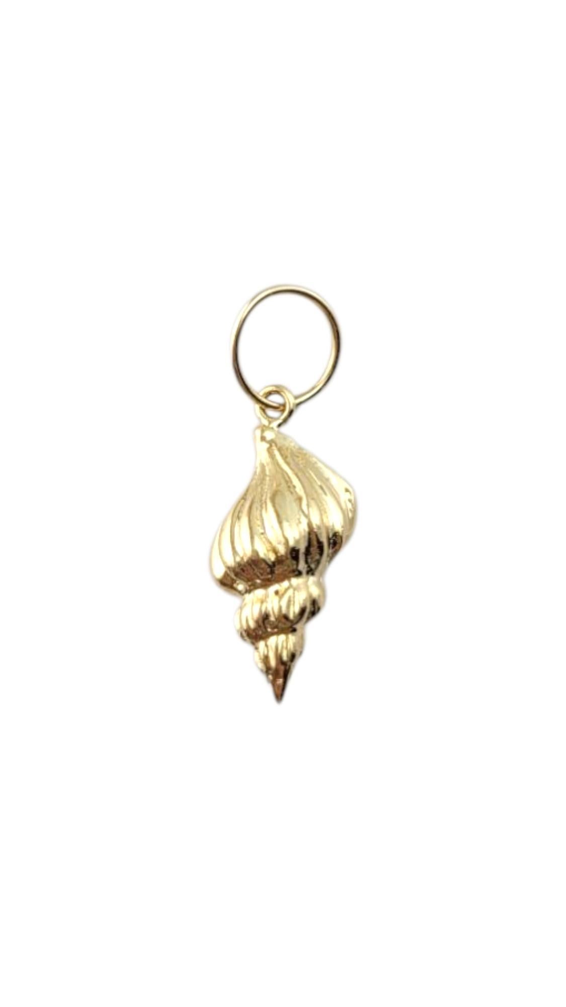 14 Karat Yellow Gold Conch Charm #21311 6
