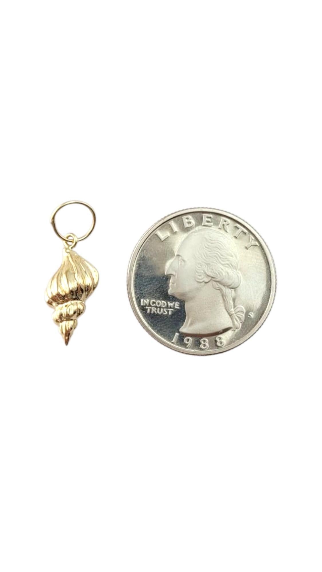 Women's 14 Karat Yellow Gold Conch Charm #21311