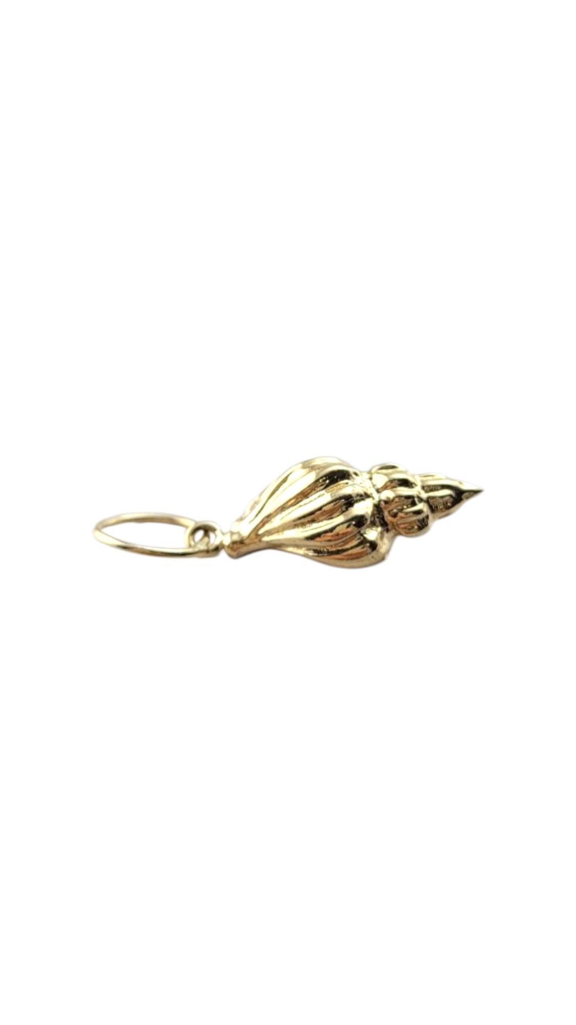 14 Karat Yellow Gold Conch Charm #21311 3