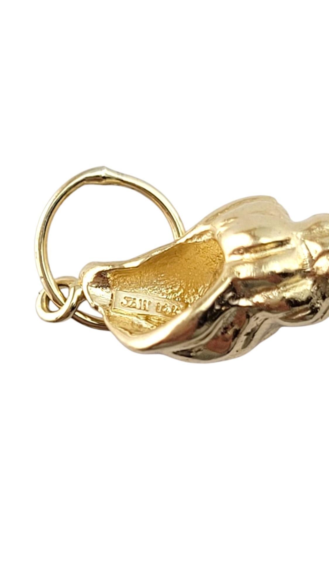 14 Karat Yellow Gold Conch Charm #21311 4