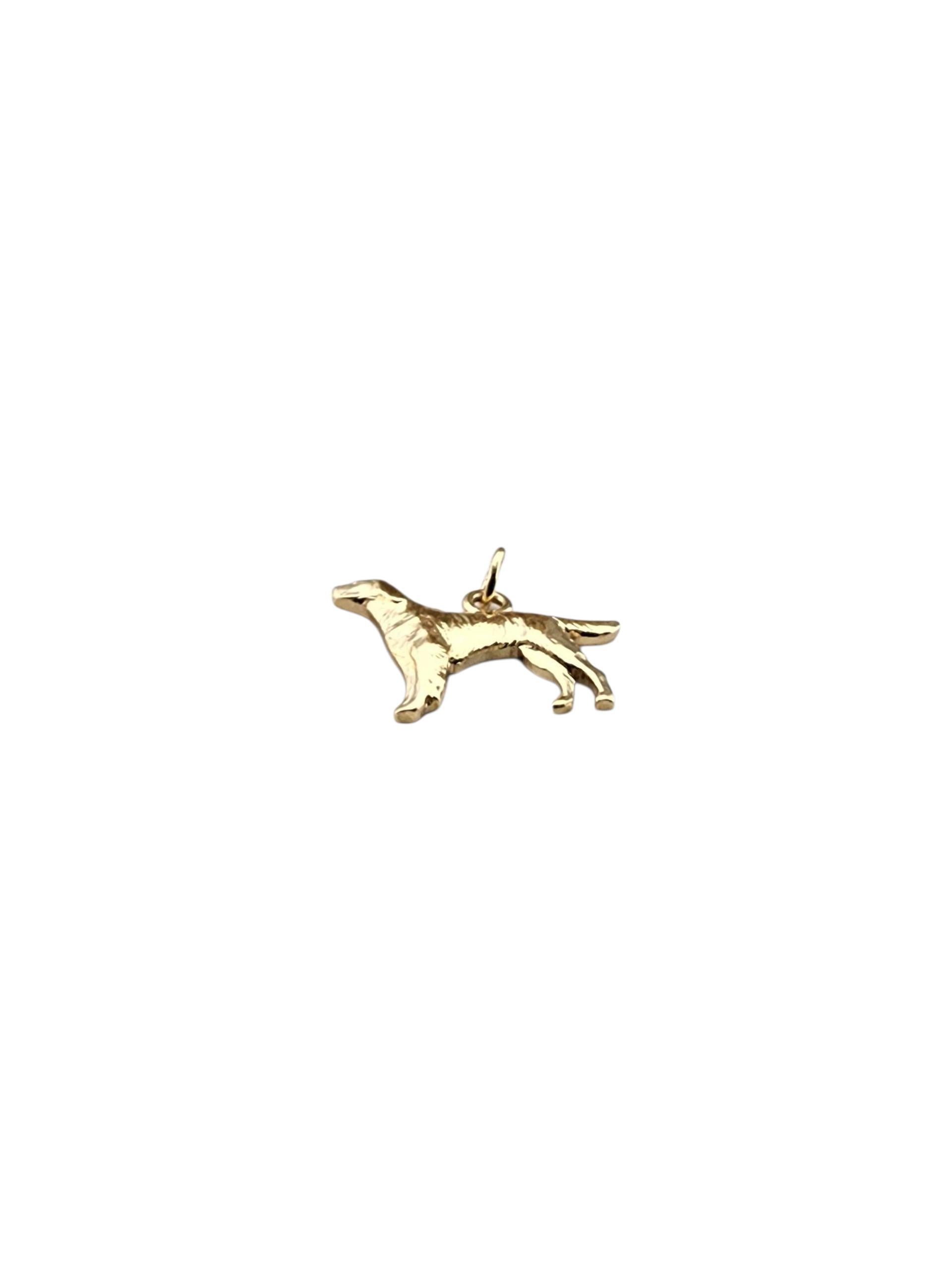 Contemporaneo Charm per cani in oro giallo 14 carati #23040 in vendita