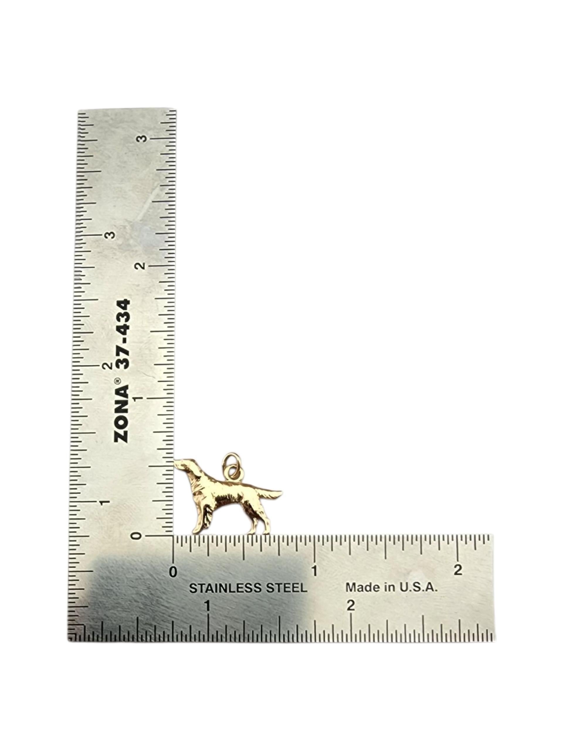 Charm per cani in oro giallo 14 carati #23040 in vendita 1