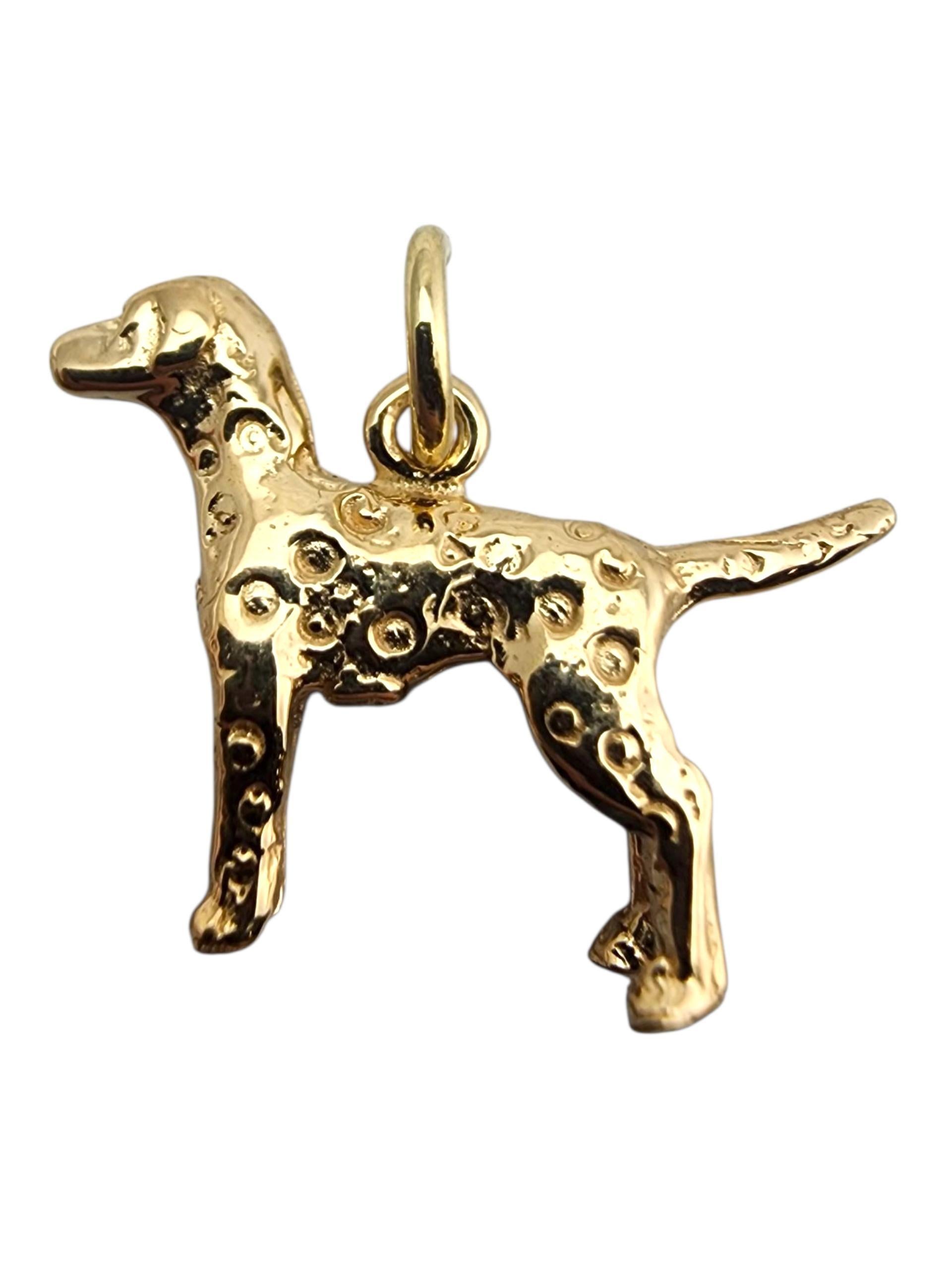 Contemporain Charm en or jaune 14 carats pour chien #23581 en vente