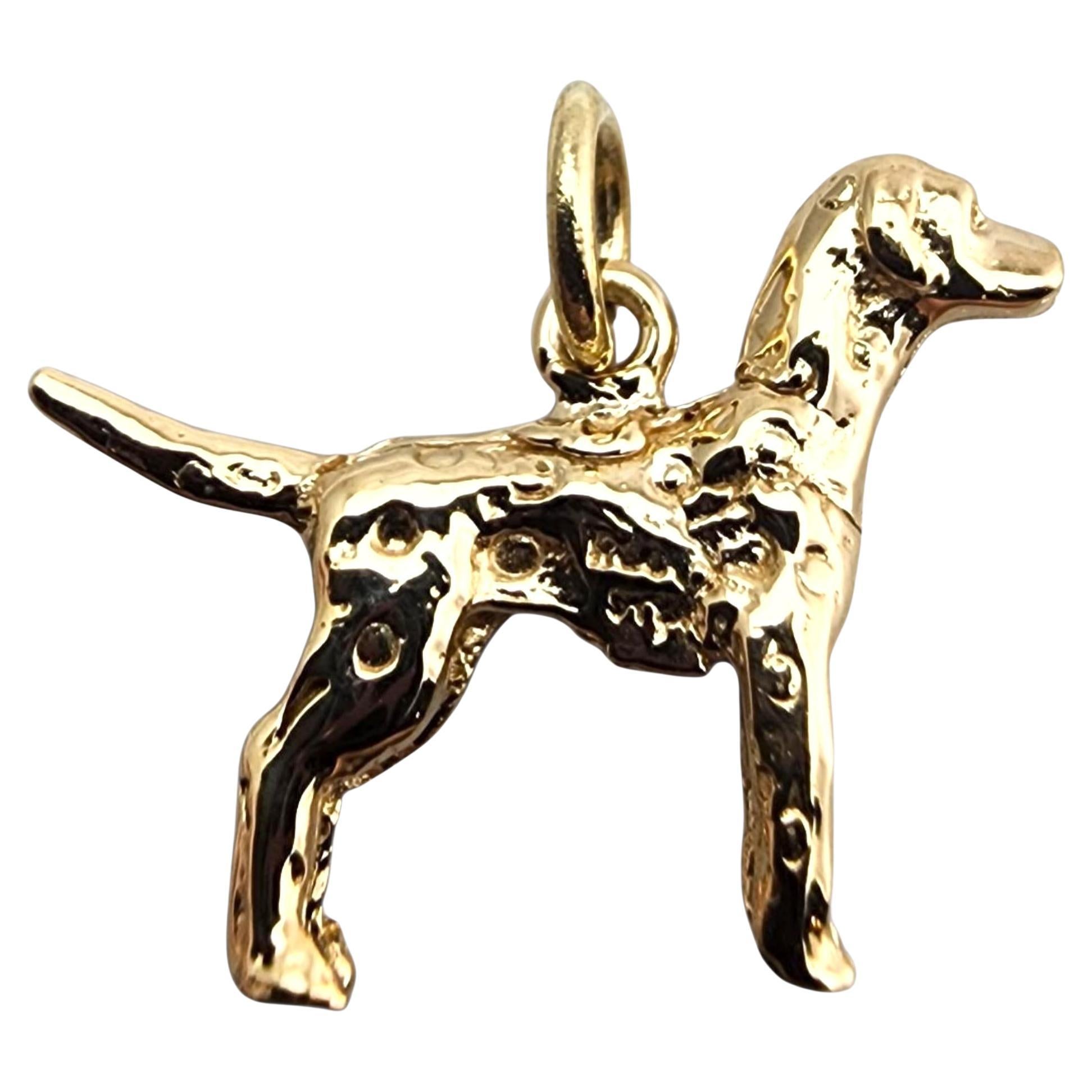 Charm en or jaune 14 carats pour chien #23581