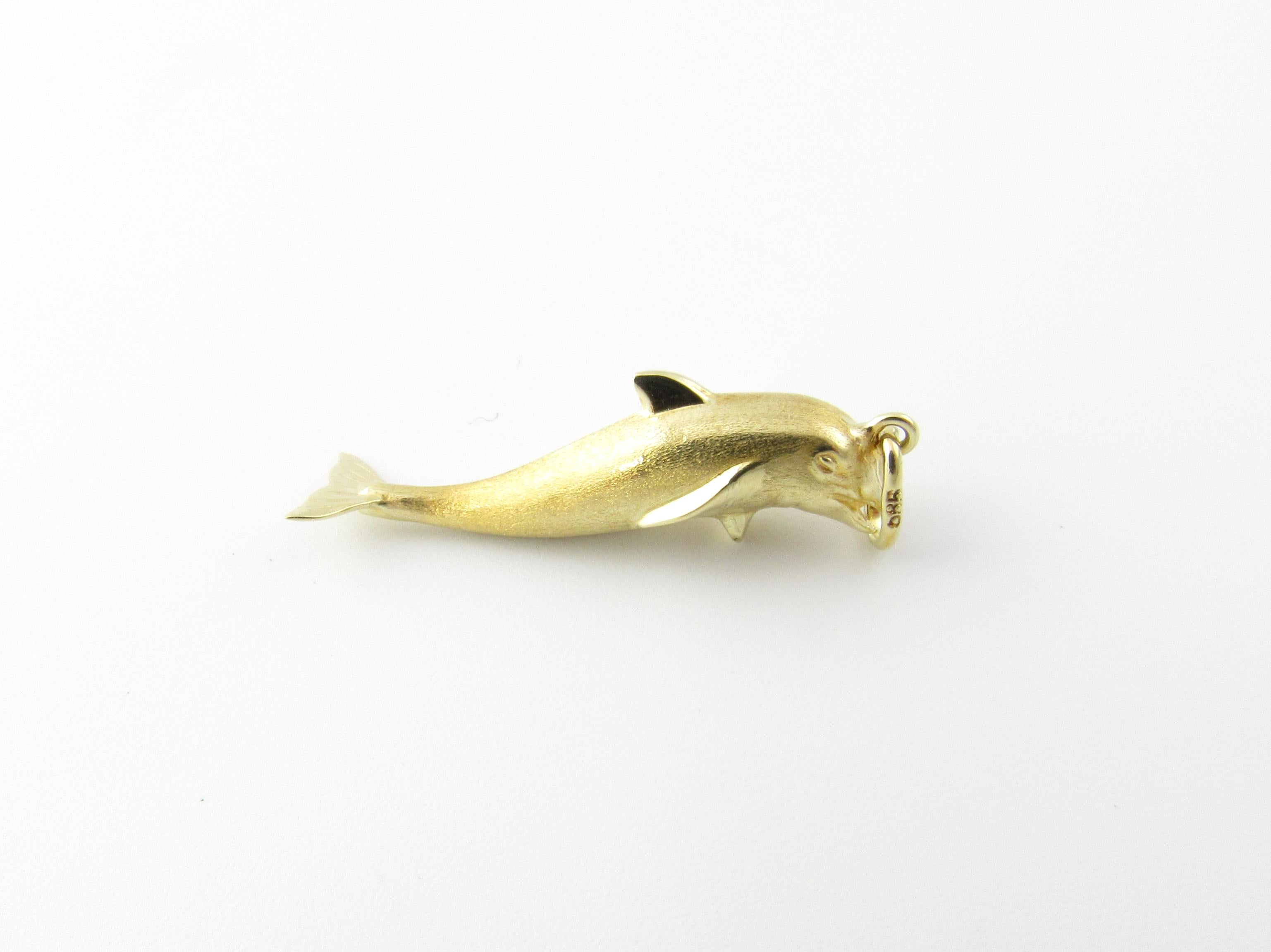 Vintage 14 Karat Yellow Gold Dolphin Charm

Dolphins have been a symbol of protection and good luck since ancient times.

This lovely 3D charm features a beautiful dolphin crafted in meticulously detailed 14K yellow gold.

Size: 29 mm x 9 mm (actual