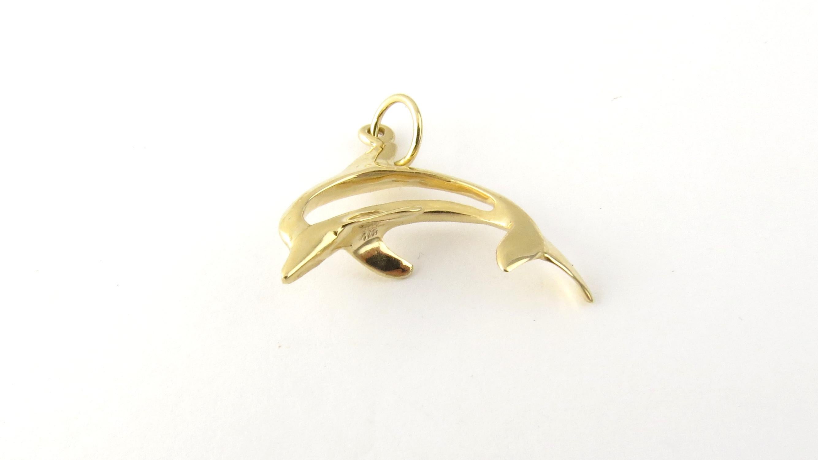 14 Karat Yellow Gold Dolphin Charm 1