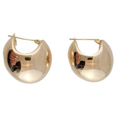 14 Karat Yellow Gold Earrings