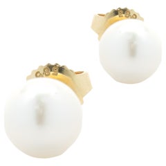 14 Karat Yellow Gold Freshwater Pearl Stud Earrings