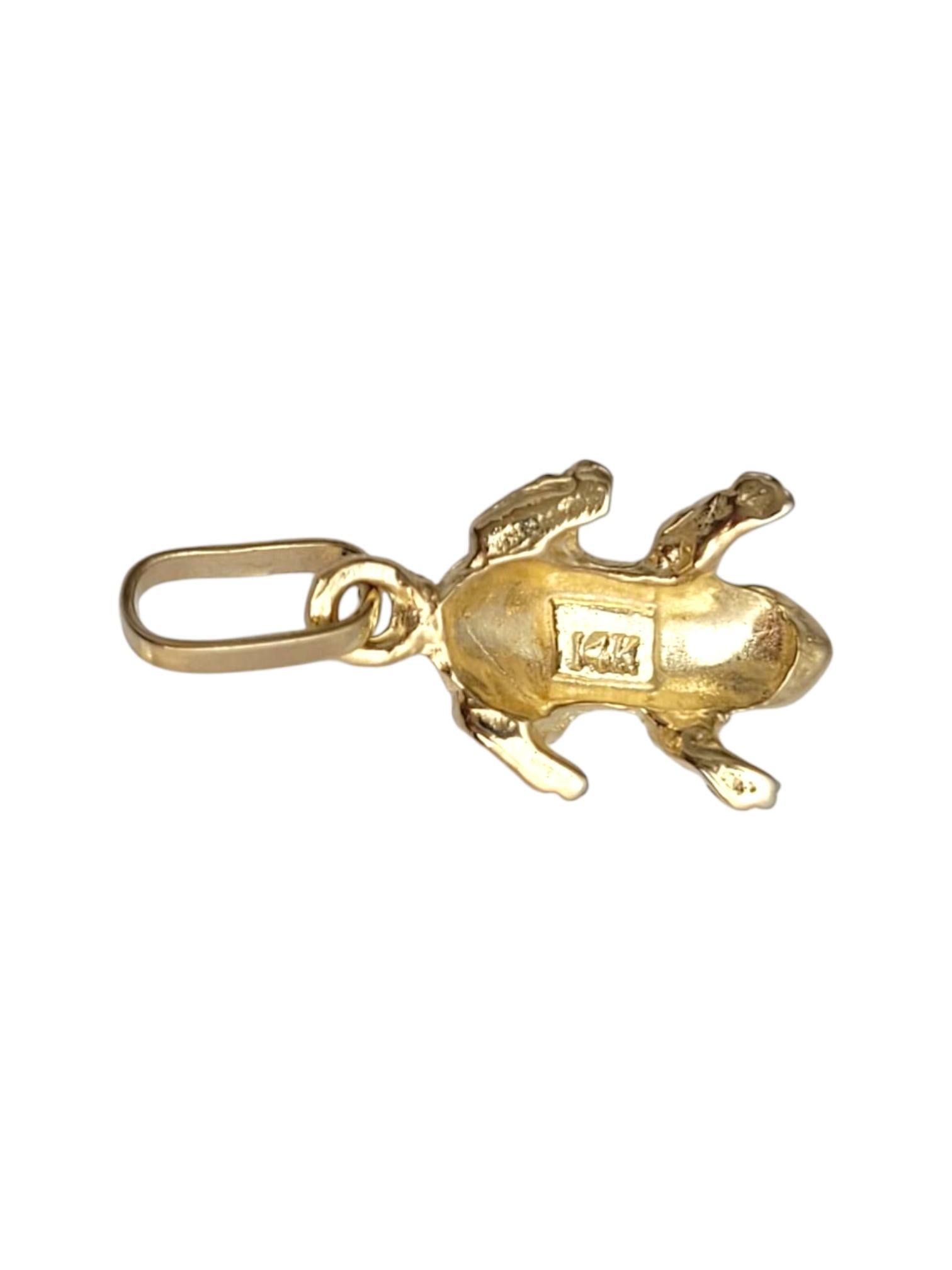14 Karat Yellow Gold Frog Pendant #21641 Pour femmes en vente