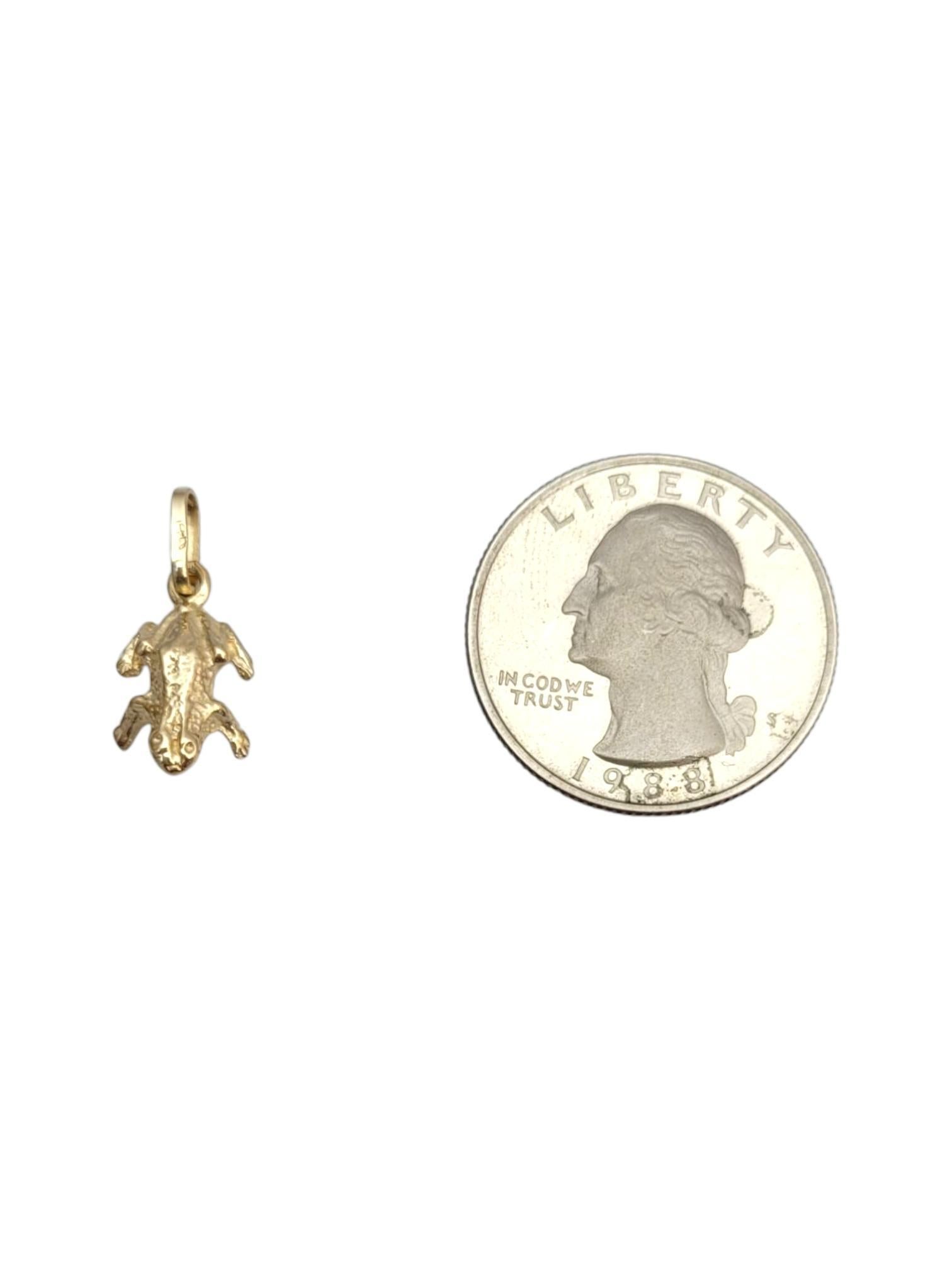 14 Karat Yellow Gold Frog Pendant #21641 en vente 1