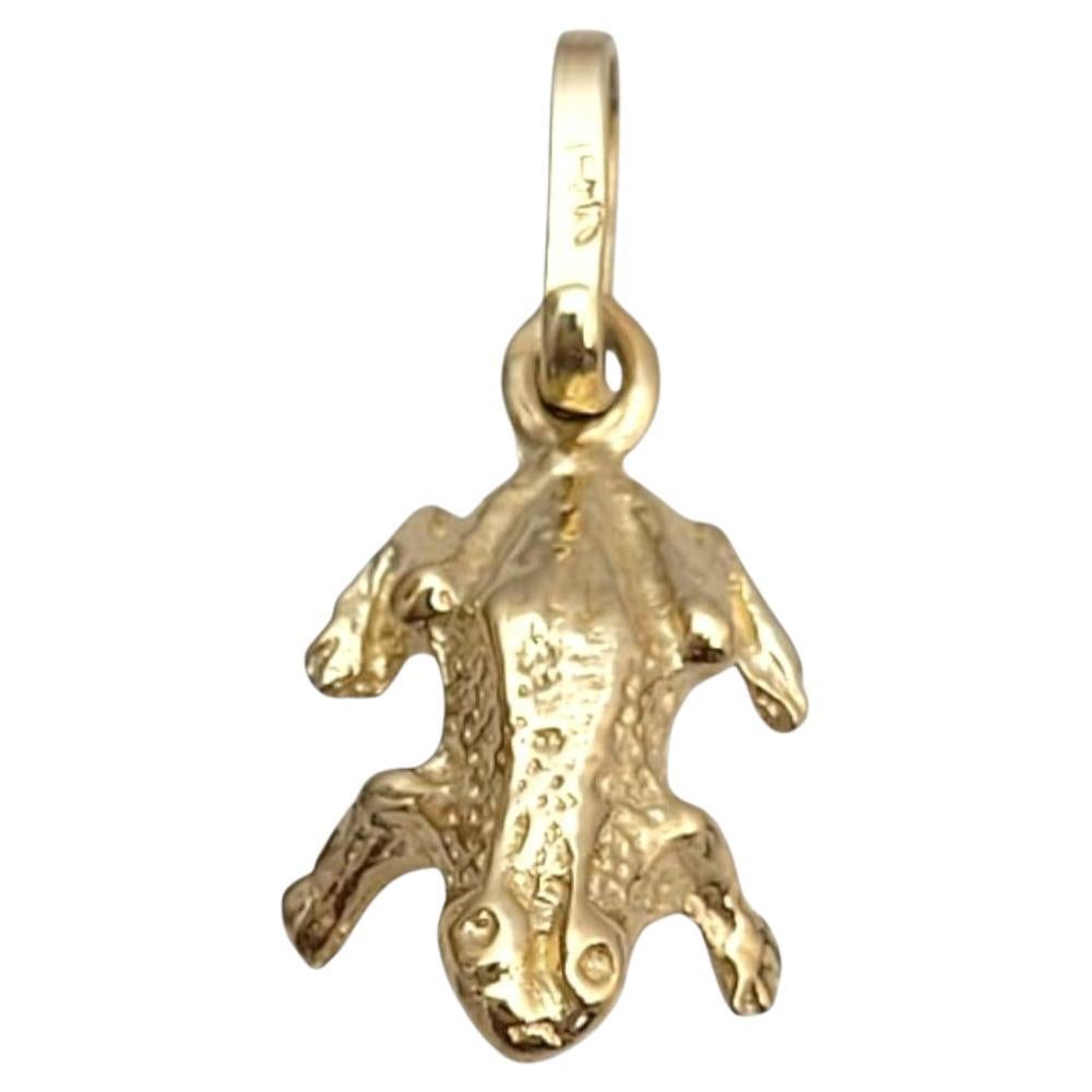 14 Karat Yellow Gold Frog Pendant #21641