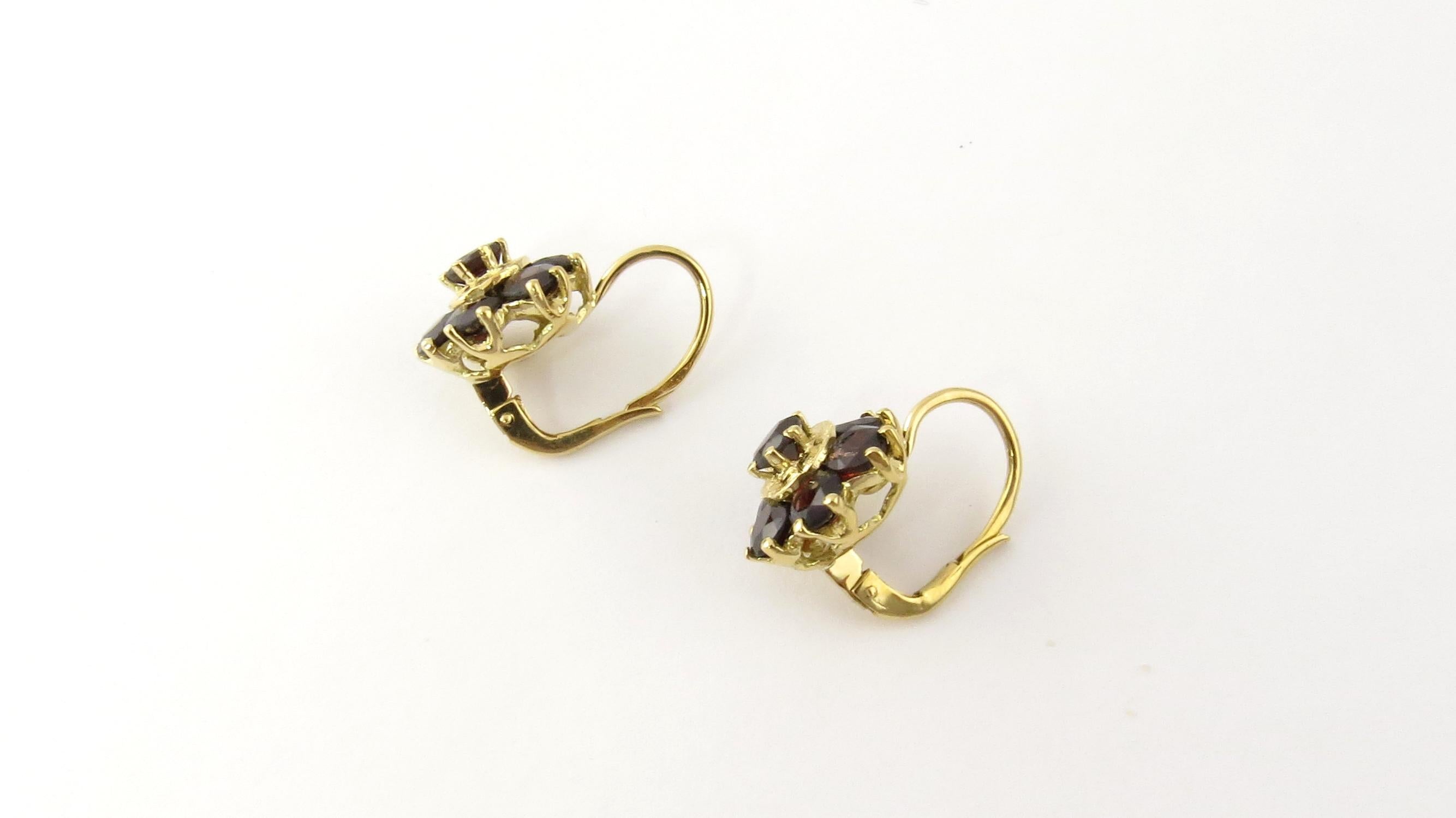 14 Karat Yellow Gold Garnet Earrings 1