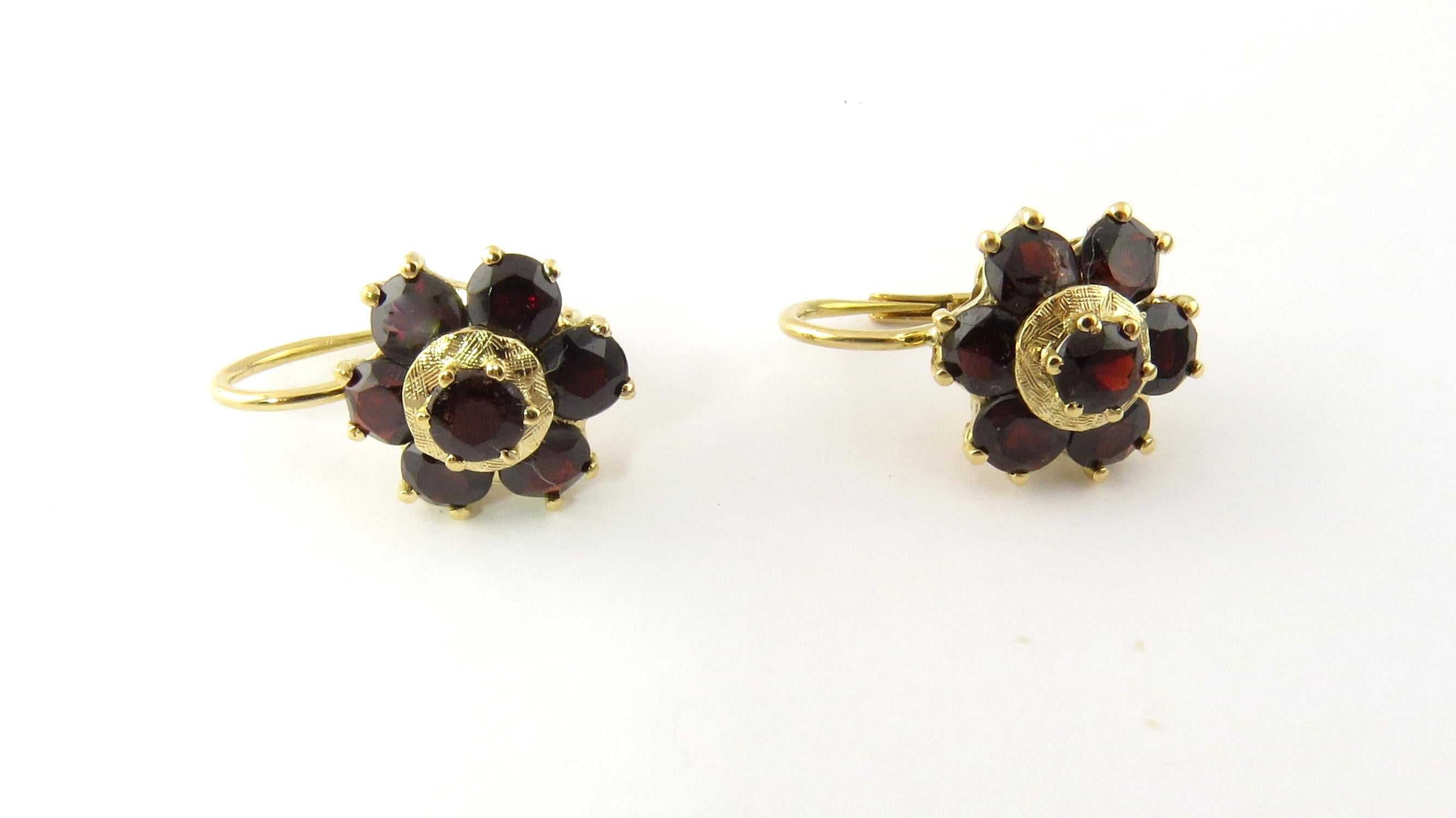 14 Karat Yellow Gold Garnet Earrings 2