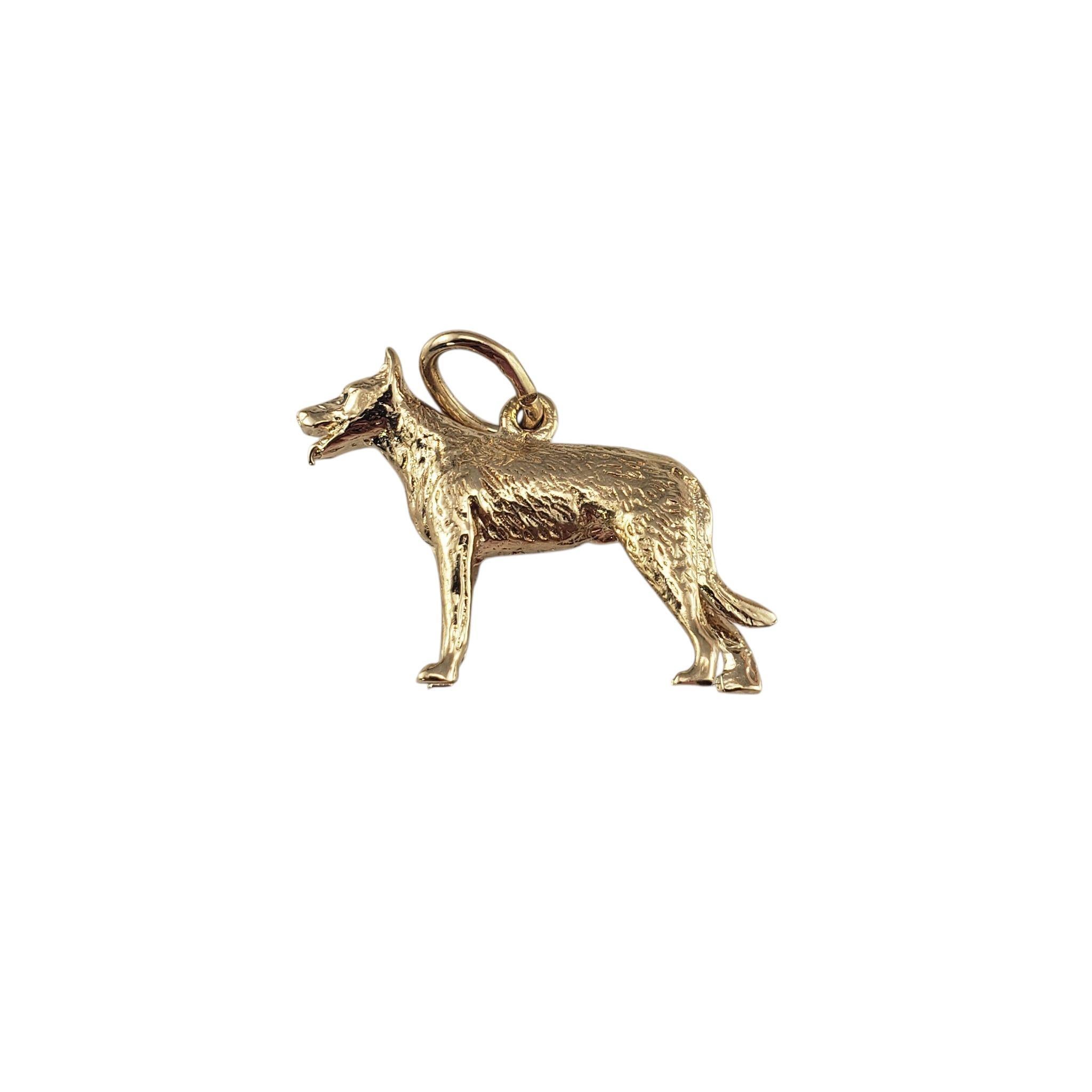 Breloque chien berger allemand en or jaune 14K-

Cette breloque en 3D représente la posture noble et le charme du pelage d'un fier berger allemand. Elle est réalisée en or jaune 14 carats avec de superbes détails. Parfait pour l'amoureux des chiens