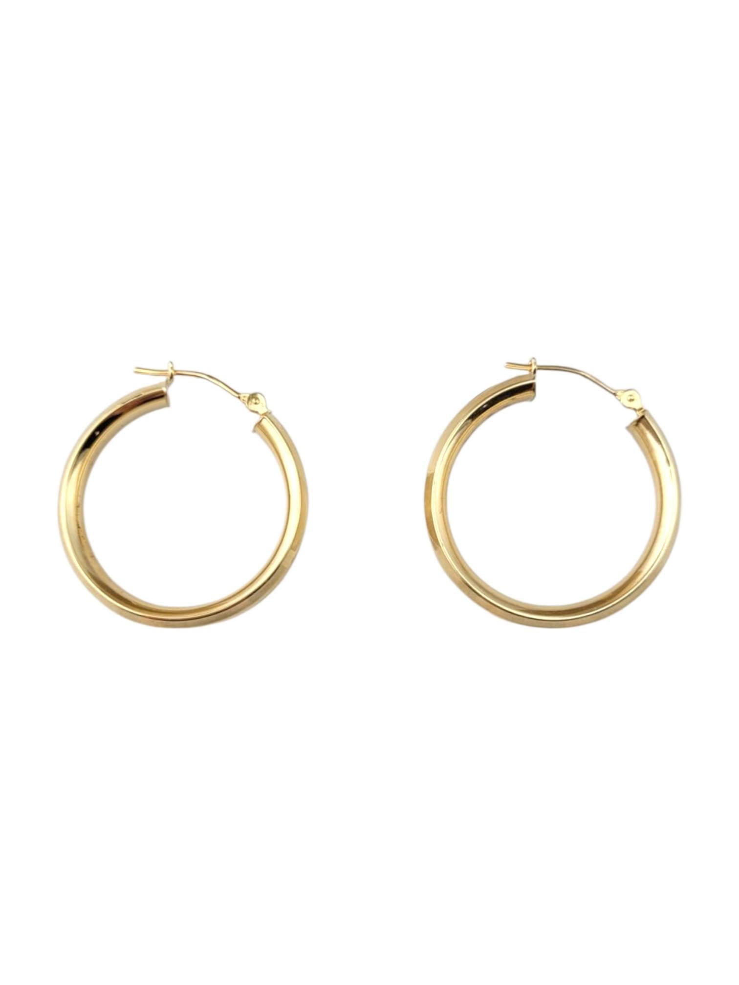 14 Karat Yellow Gold Hoop Earrings #21862