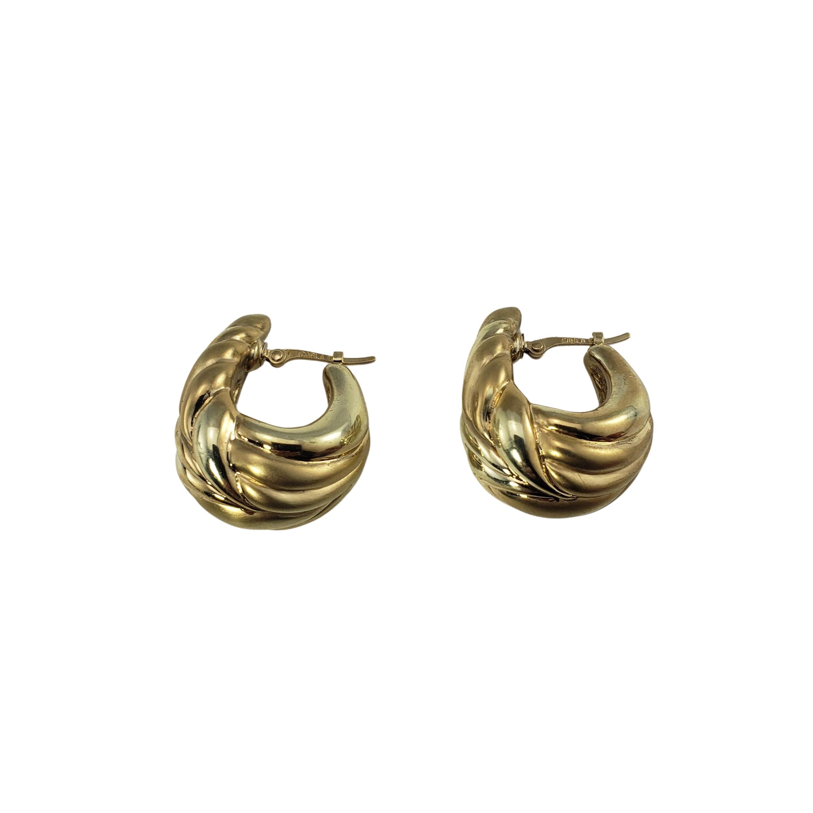 Women's 14 Karat Yellow Gold Hoop Earrings