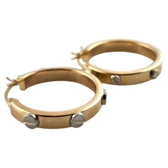 14 Karat Yellow Gold Hoops with White Gold Screws #19145