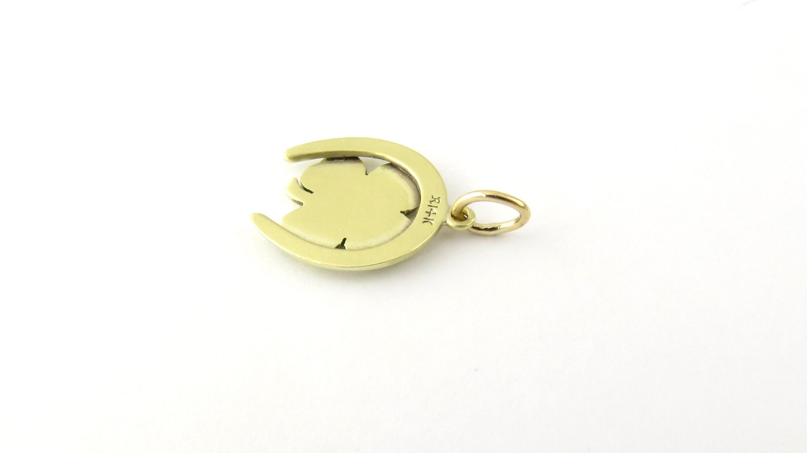 Women's 14 Karat Yellow Gold Horseshoe and Shamrock Charm