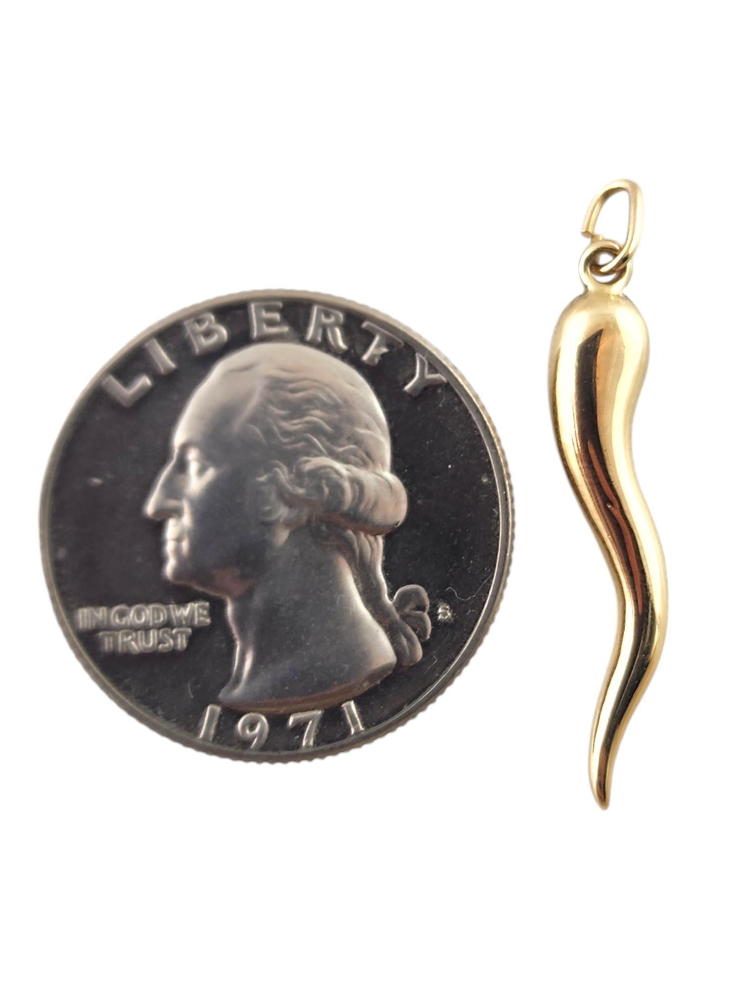 14 Karat Yellow Gold Italian Horn Charm #19294 1