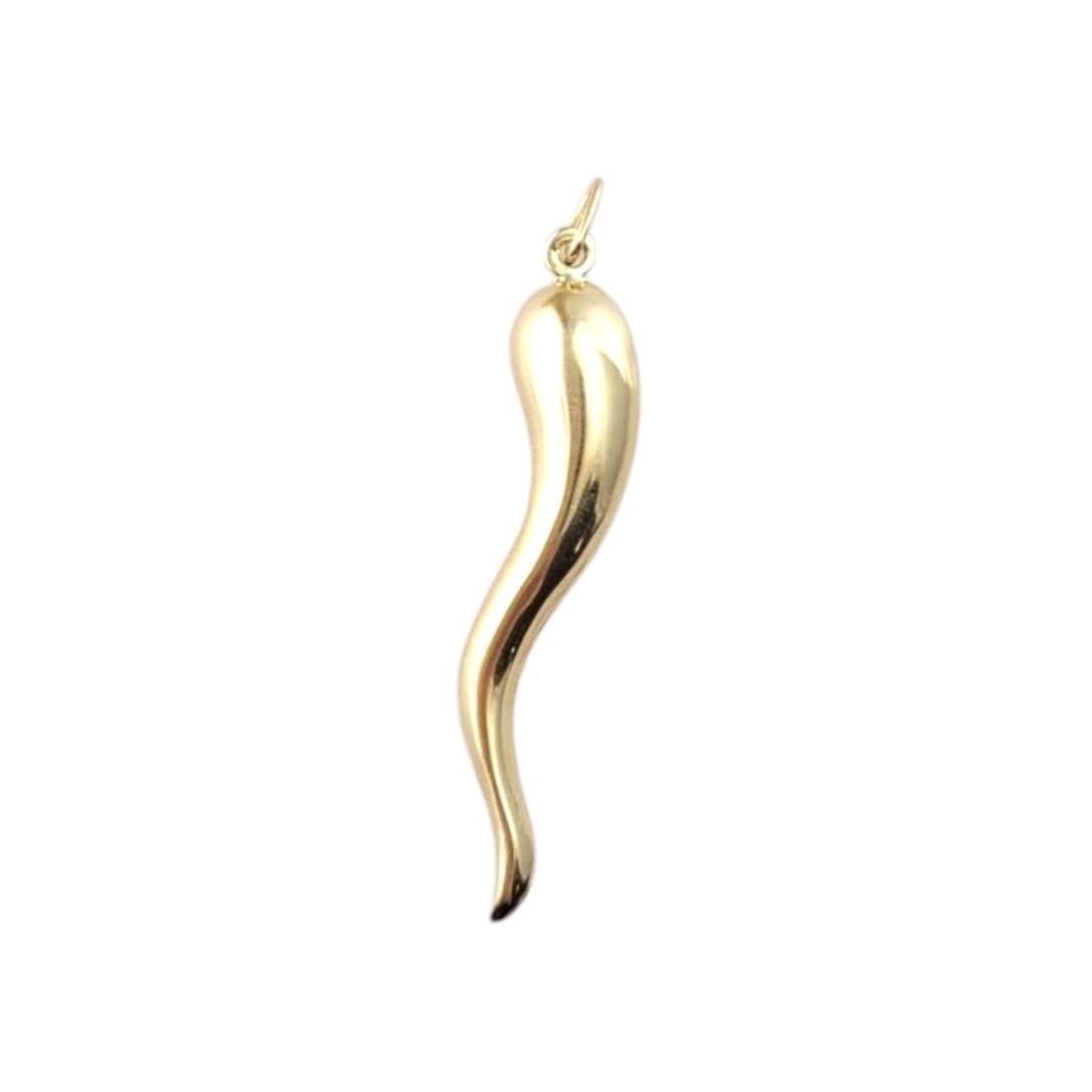 14 Karat Yellow Gold Italian Horn Charm #21483