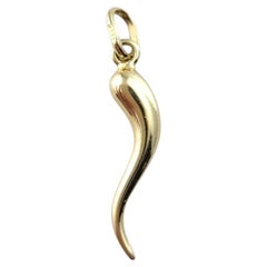 14 Karat Yellow Gold Italian Horn Pendant #21486