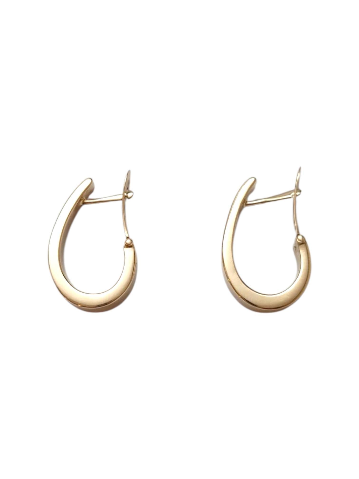 14 Karat Yellow Gold J Hoop Earrings

Add a touch of everyday elegance with these hoop earrings! This piece features J-shaped hoop earrings meticulously detailed in 14 karat yellow gold.

Size: 22 mm X 5.7 mm X 2.1 mm

Weight: 3.1 g / 2