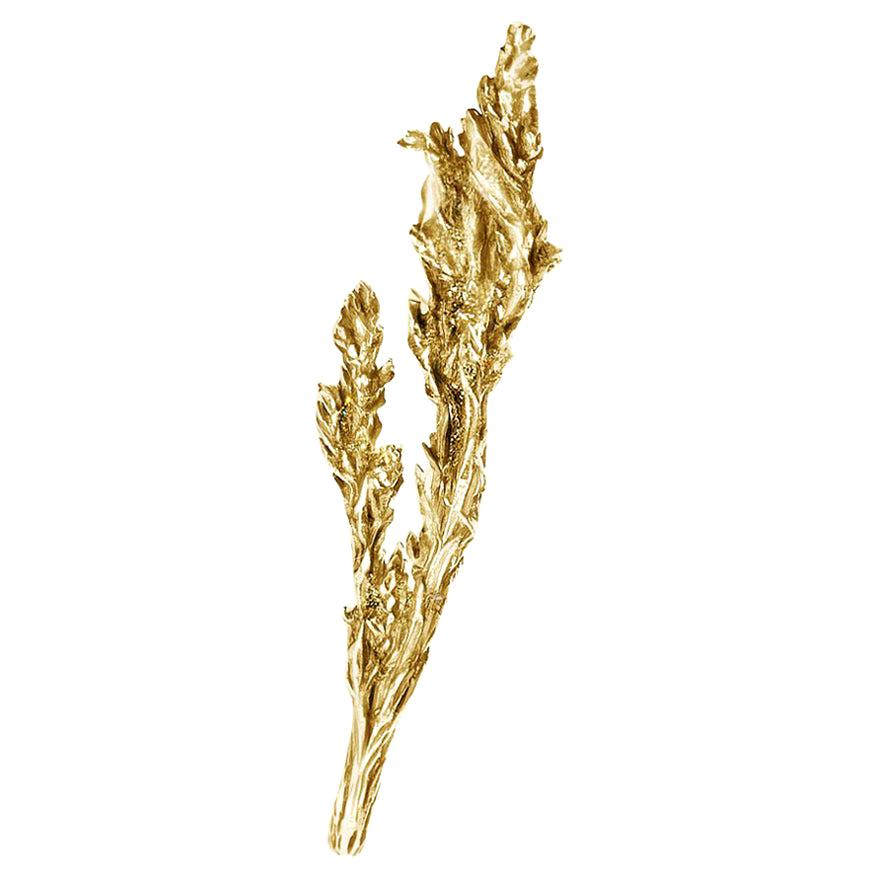 14 Karat Yellow Gold Juniper Brooch by the Artist For Sale