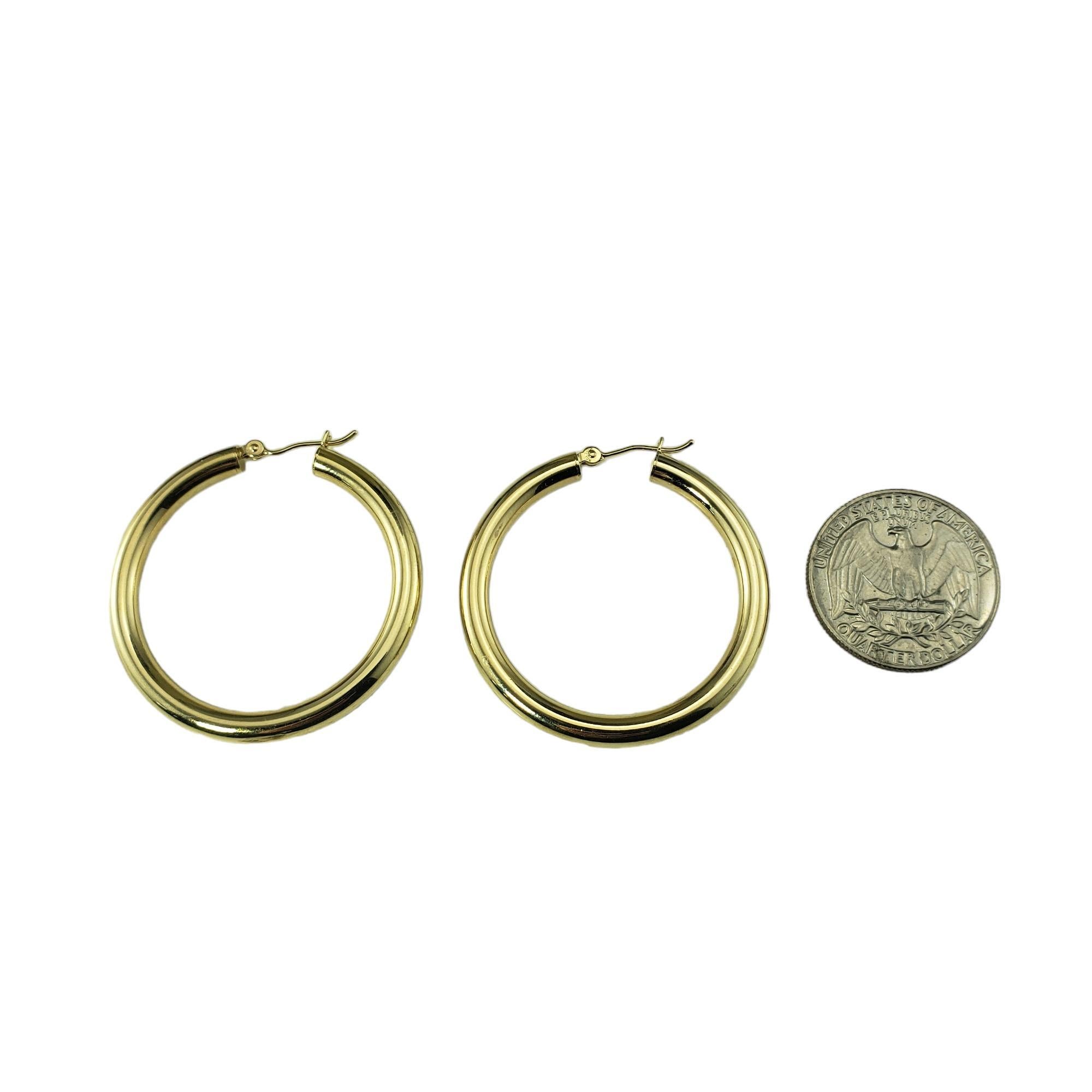 Women's 14 Karat Yellow Gold Large Hoop Earrings #17281
