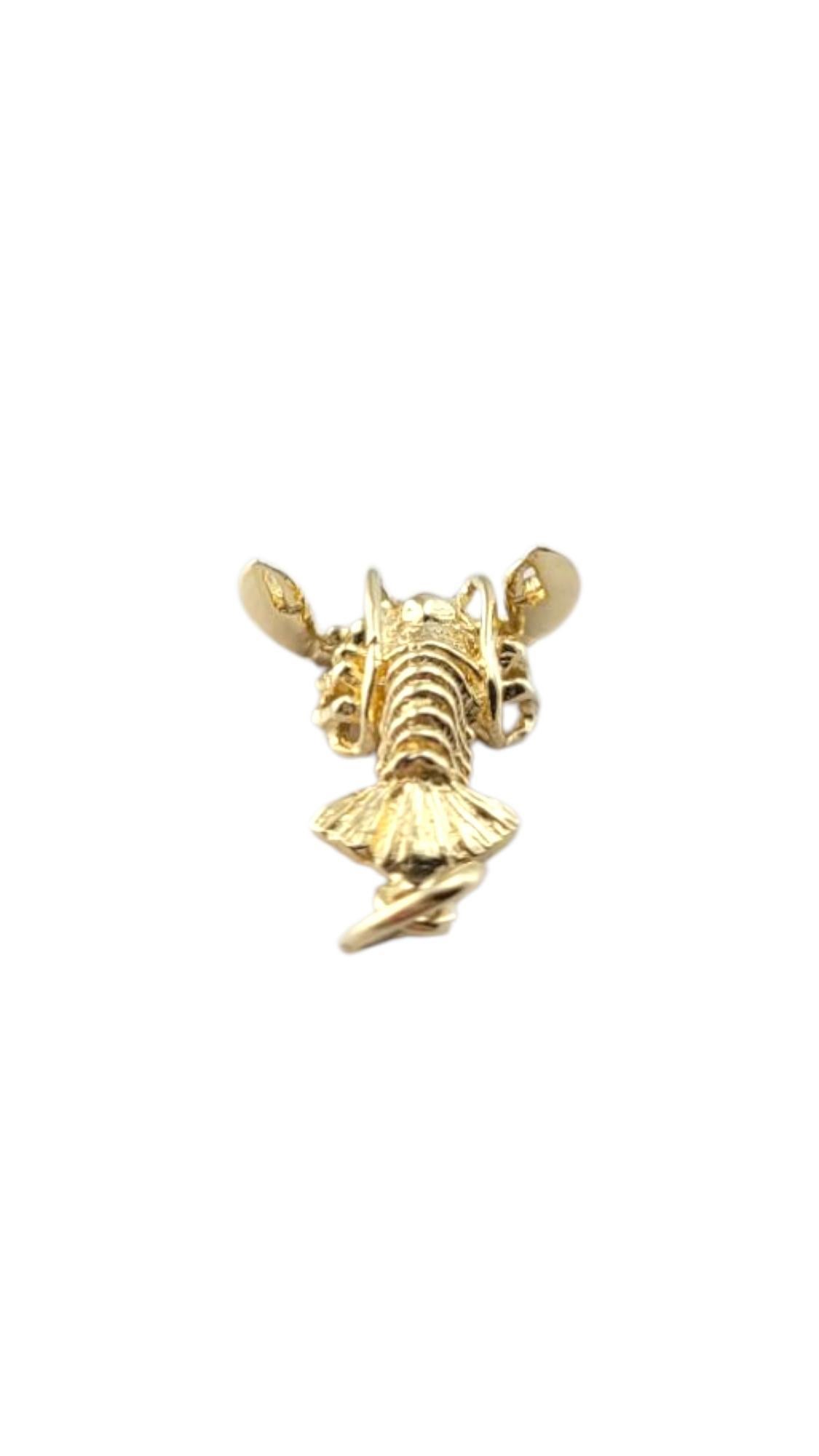 Breloque en or jaune 14 carats - Lobster Charm-

Cette breloque homard en or jaune 14 carats est une pièce unique et élégante, parfaite pour les amateurs de fruits de mer ou ceux qui sont attirés par les designs inspirés par l'océan. Avec sa